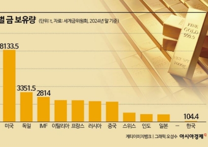 금값 천장 뚫는데…한은, 12년째 멈춰있는 '47.9억달러' 의미는[BOK포커스]