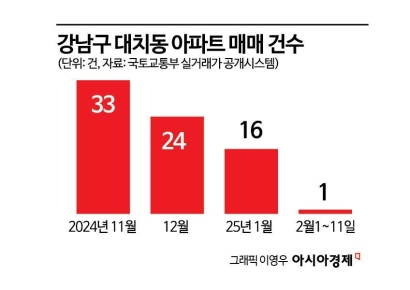 [토허제 해제]벌써 2억 뛴 잠실…매물 잠긴 대치