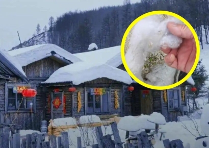 눈 천지라더니 솜 천지였네…"하다 하다 이젠 눈도 가짜냐"