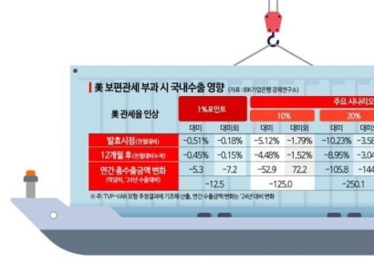 "미 보편관세 10% 부과시, 우리 수출 18조원 감소"