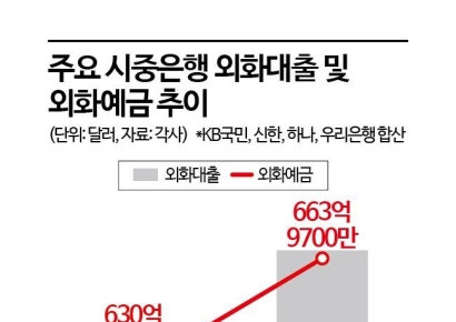 은행 외화대출 또 늘었다…高환율에 리스크 우려