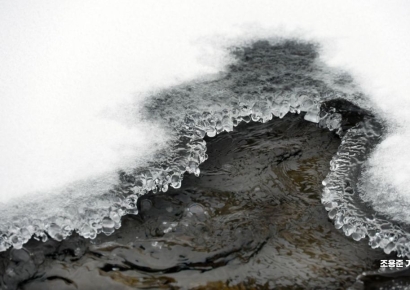 [이미지 다이어리] 사르르 오는 봄