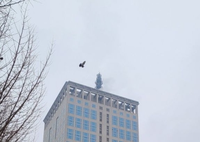 새해 부산 동백전 캐시백 최대 10%… 월 한도 50만원 시행