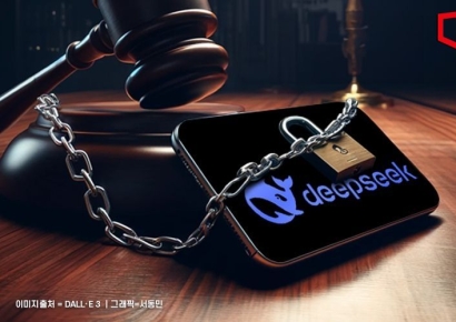 오픈AI는 ‘토큰’만 가져가는데…사용자 정보 '통째로' 가져가는 딥시크