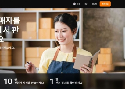 알리 이어 테무까지 韓시장 직진출…'C커머스' 공습 격화