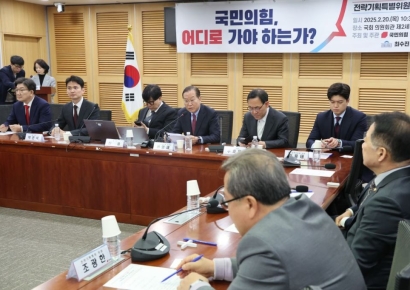 "탄핵반대 이미지 변해야"…與 '조기대선 준비' 제언