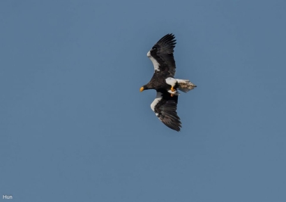 울산 울주군 야산·저수지, 멸종위기야생생물 관찰