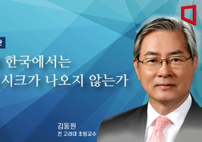 [논단]왜 한국에서는 딥시크가 나오지 않는가?