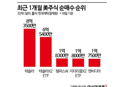 "엔비디아 제쳤다"…서학개미가 쓸어담은 이 종목