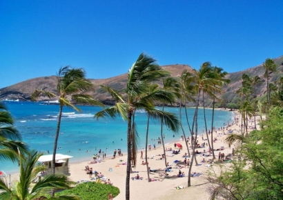 하와이 여행 후 온몸 타는 듯한 통증…무심코 먹고 감염 '날벼락'