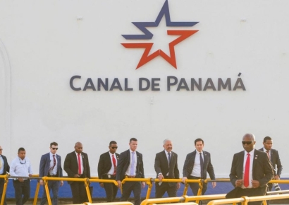 또 조류 충돌 '아찔'…'로봇 매'까지 날려봤지만 소용없었다