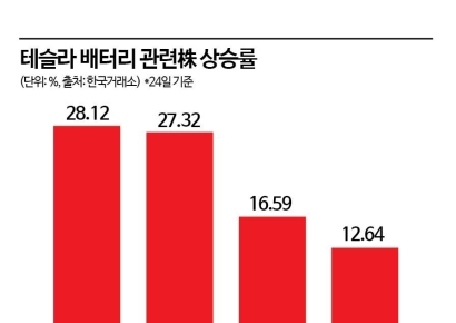 테슬라 못가도 주목받는 밸류체인株