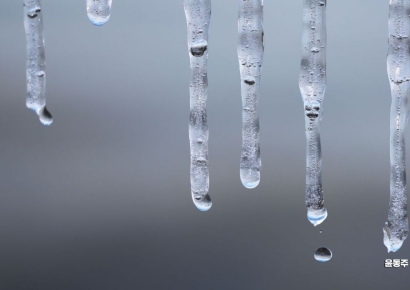 [이미지다이어리] 겨울의 눈물