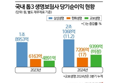 보험업권 치열한 톱2 경쟁…"본업 경쟁력 강화해야"[금융 지각변동]③