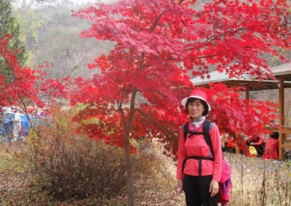 독거노인에 반찬 만들어준 과수원 사장님… 마지막에도 새 삶 나눠