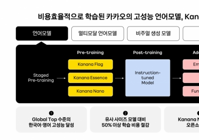 카카오도 오픈소스 AI 참전…경량 모델 '카나나 나노' 공개