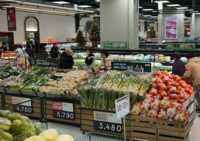 정부 "농축산물 물가 7개월 연속 안정세…채솟값은 여전히 강세"