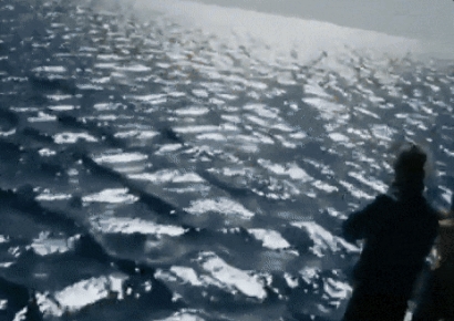 "수영할 때 보면 당장 탈출하라"…베테랑 선원도 벌벌 떤다는 '네모난 파도'