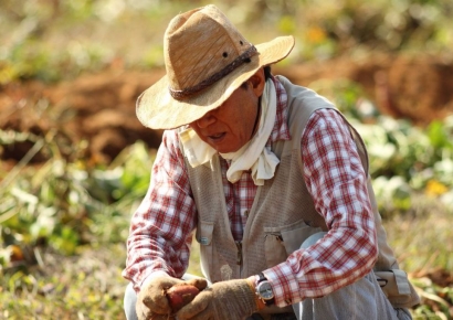 자연 찾아, 가업 이으러…귀농 5년차 소득 3600만원 vs 귀촌 4100만원