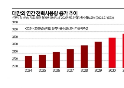 TSMC 발목잡는 '6결' 리스크…"전력, 물, 땅이 없다"