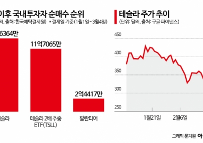 "묻고 더블로 가"…테슬라 32% 빠질 때 서학개미 '2조 베팅'