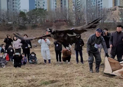 ‘이야기가 있는 구조 독수리’… 울산시, 치료 후 방사 행사