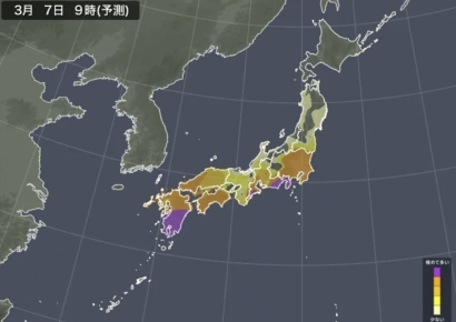 봄철 불청객 꽃가루…하루 2조원 경제손실 주범 [日요일日문화]
