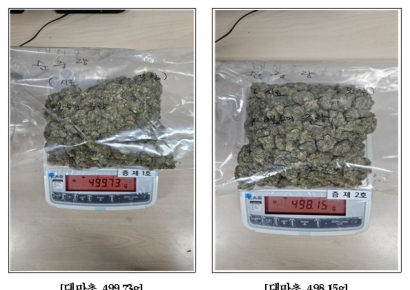 “귀국자금 필요해서” 대마초 밀수입한 불법체류자 구속