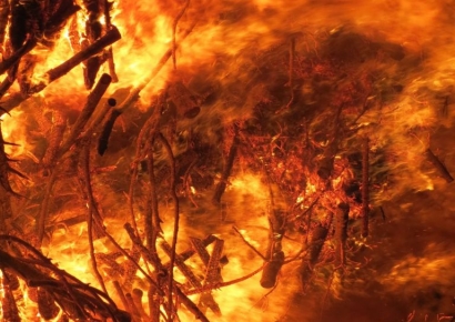 "탈출할 틈도 없었다"…인도 고아 나이트클럽 화재로 최소 23명 숨져