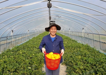 쿠팡, 전국 과일 1000t 이상 매입…"지방농가 경영 숨통"