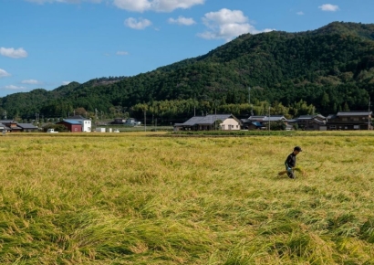 "사재기 해야 해" 발 동동 구르더니…돌연 '수출 늘려라' 결정한 일본