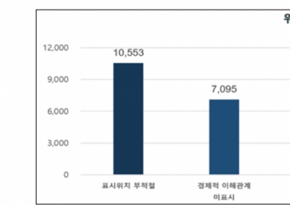 SNS 뒷광고 2만2000건 적발…인스타가 1만건 '최다' 