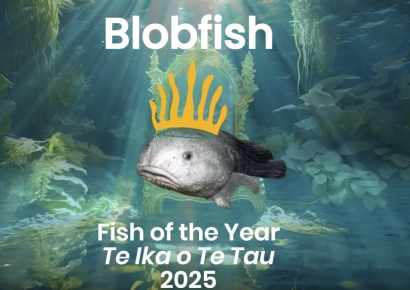 가장 못생긴 물고기…이곳에선 '올해의 물고기' 극찬