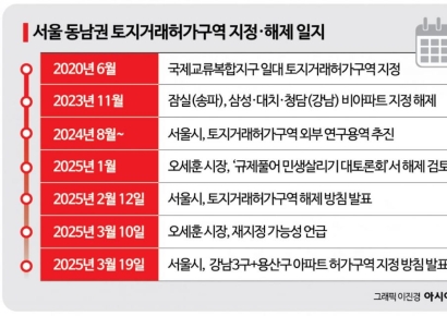서울시 "토허제 확대 후 강남3구 등 상승폭 둔화, 마용성 풍선효과 없어"
