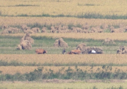 “北 주민 절반이 영양실조… 배설물 처리도 비위생적”