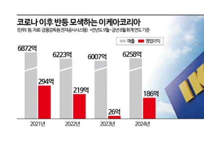 한국 진출 11년 만에 '파격 결정'…쇼핑몰 승부수 띄운 이케아 