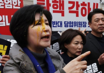 野백혜련, 헌재 앞 '尹파면' 시위 중 계란 맞아…경찰 수사