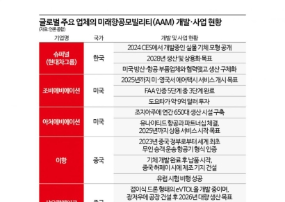 정의선의 항공모빌리티 '뚝심'…슈퍼널 "미국 넘어 인도 진출도 검토"