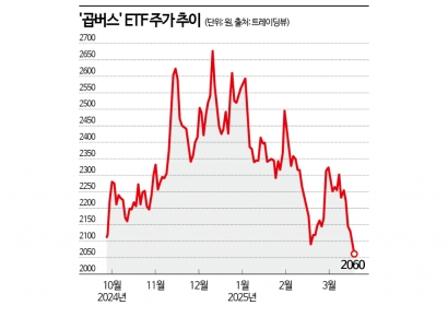 "코스피 강세 온다" 분석에도…"안 온다"라던 개미들, 수익률 -20% 육박