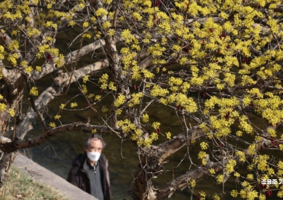 [포토] 완연한 봄