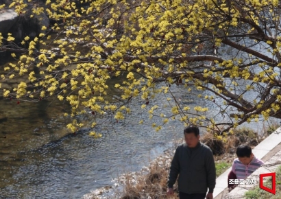 [날씨]전국 돌풍·천둥·번개 동반한 비…낮 기온 15∼28도