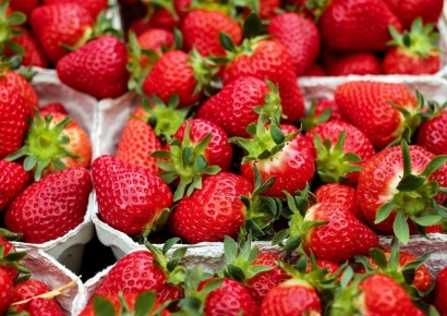 65세 이상이 딸기 꾸준히 먹으면 생기는 일…"놀랄 만한 효과"