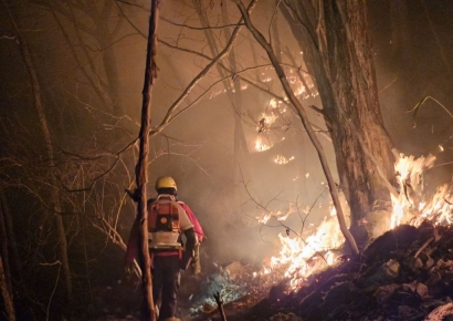 병원 입원한 김경수, 마음은 산불 걱정…"정부 최선 다해주길"