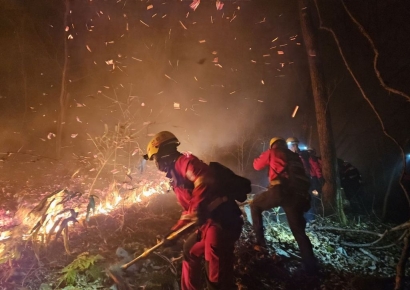 "소방관도 위험하면 피하는 게 상책"…4명 순직에 현직 토로