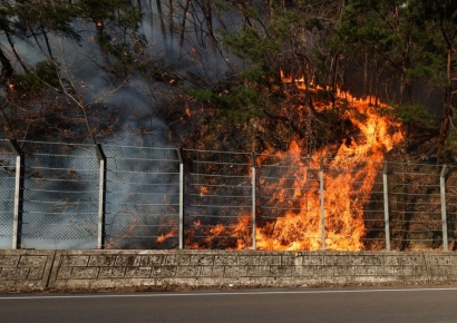 전국 곳곳 대형산불…축구장 4600개 태웠다(종합)