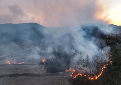 '축구장 4600개 규모' 산림, 동시에 불탔다…인명피해 10명