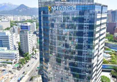 금감원, NH농협은행 가계대출 서면·현장점검 나선다
