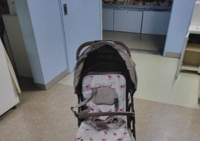 "왜 이럴까"…수족관서 '70만원 유모차' 빌려줬더니 들고 사라져