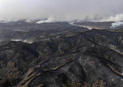 "산불에 천년고찰 고운사도 전소, 국가위기 경보"(상보)