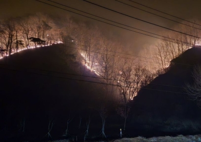 [르포] 울부짖는 경북… 평생의 삶과 터전, '천년'이 불탔다